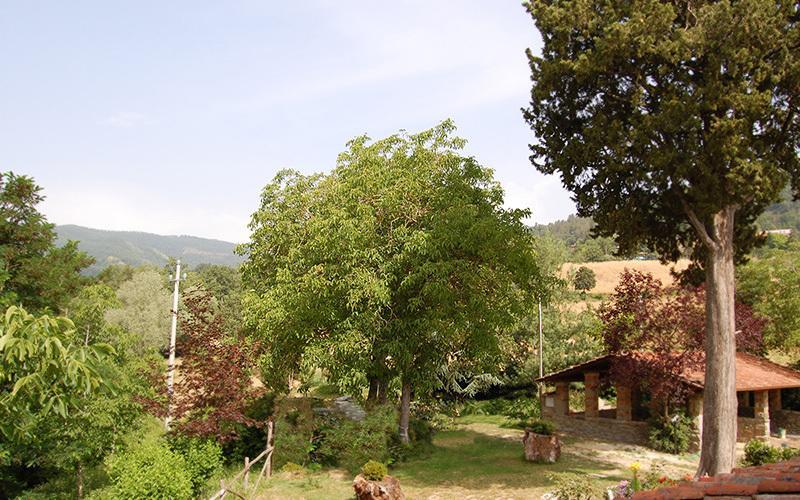 Villa Agriturismo Il Piano à Pratovecchio Extérieur photo
